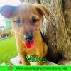 Milee