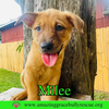 Milee