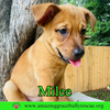 Milee