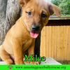 Milee