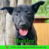 Bentlee