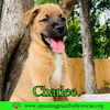 Charlee