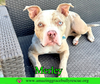 Merley aka Luna