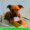 Rosalee
