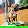 Rosalee