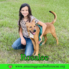 Rosalee - Photo 13