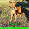 Rosalee - Photo 14