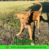 Rosalee - Photo 16