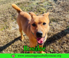 Rosalee - Photo 9