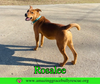 Rosalee - Photo 8