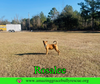 Rosalee - Photo 6