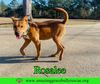 Rosalee - Photo 5