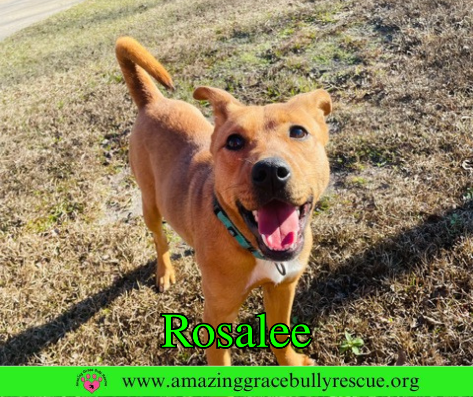 Rosalee Image