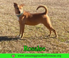 Rosalee - Photo 4