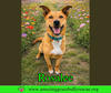 Rosalee