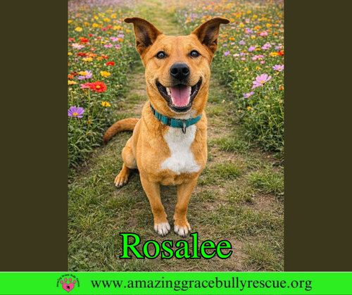 Rosalee