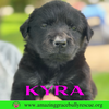 Kyra