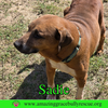 Sadie