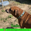 Sadie