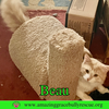 Beau