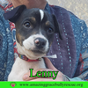 Lenny