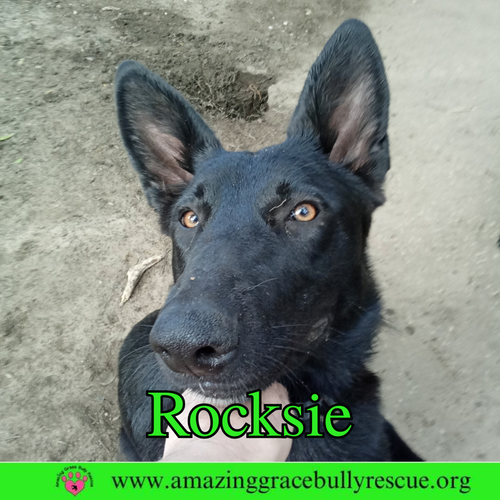 Rocksie (Rockin Ranera)