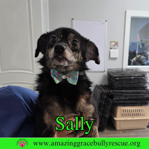 Sally