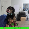 Sally