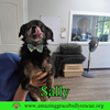 Sally