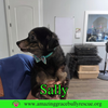 Sally
