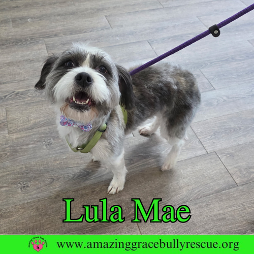 Lula Mae
