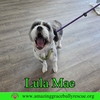 Lula Mae