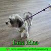 Lula Mae