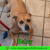 Baley akd Jelly Belly
