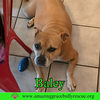 Baley akd Jelly Belly