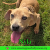 Nyla