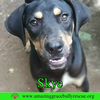 Skye