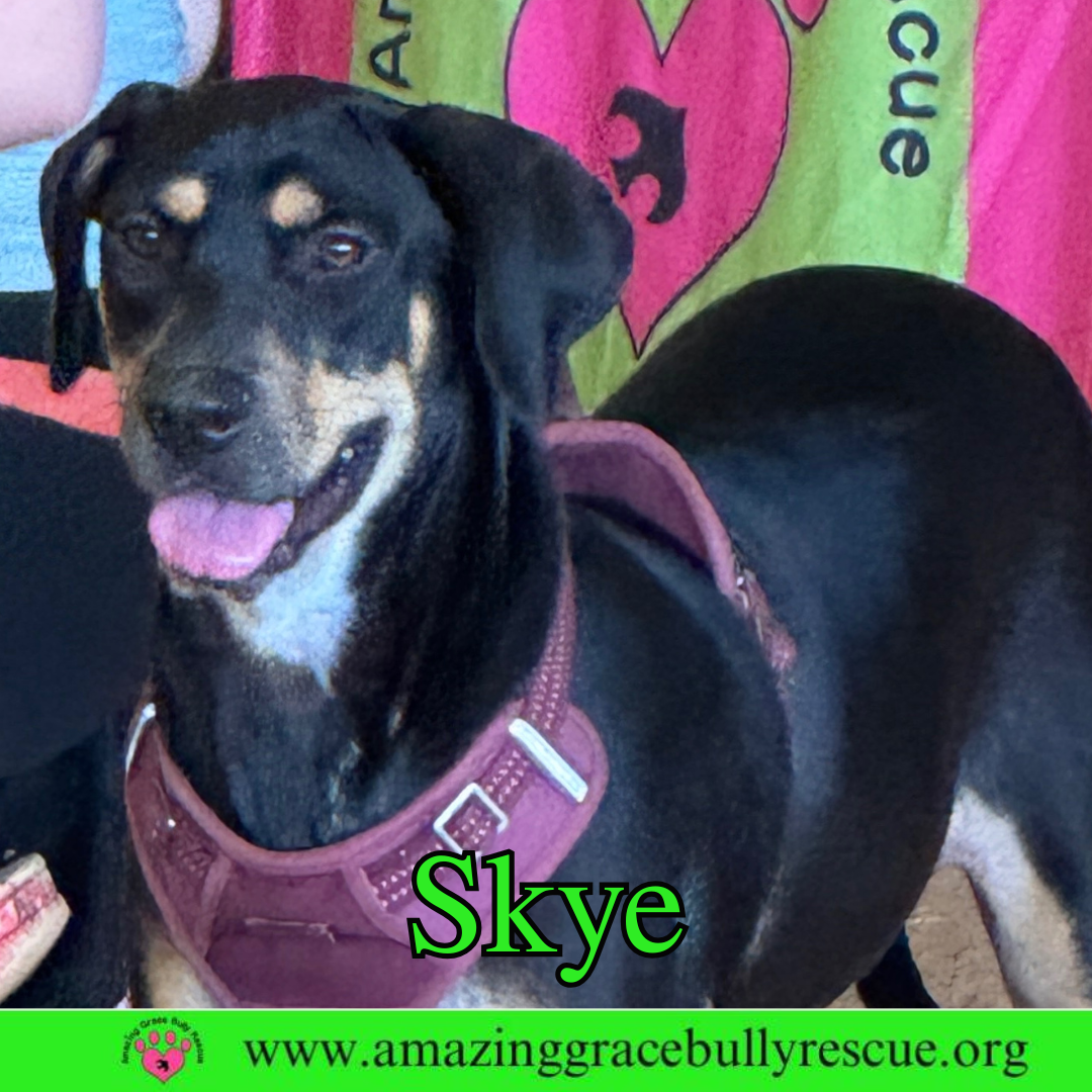 Skye Image