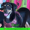 Skye - Photo 1
