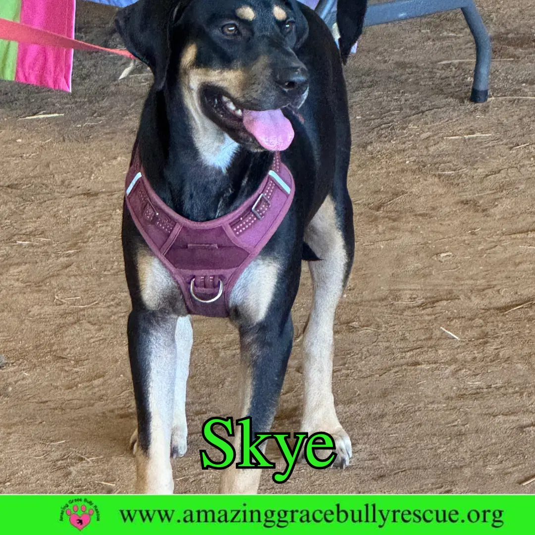 Skye image 2