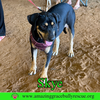 Skye - Photo 3