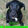 Bingo