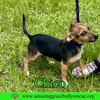 Chico