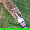 Weasel