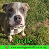 Findley