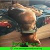 Buster Brown