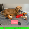 Kiara - Photo 2
