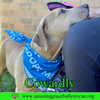 Cowardly
