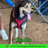 Raldo - Photo 5
