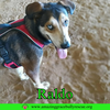 Raldo - Photo 7